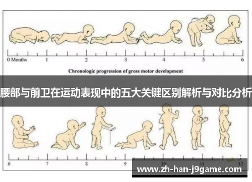 腰部与前卫在运动表现中的五大关键区别解析与对比分析 腰部与前卫在运动表现中的五大关键区别解析与对比分析